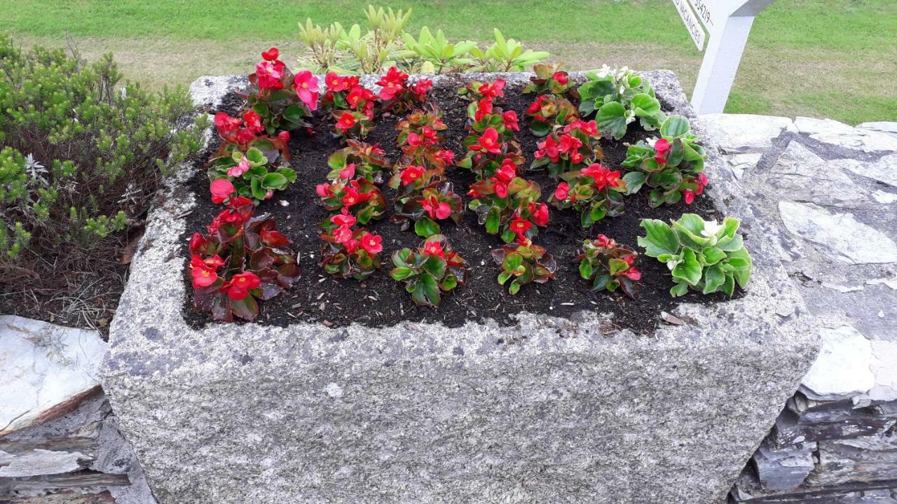 Melorne Farm Bed and Breakfast Camelford Exteriör bild