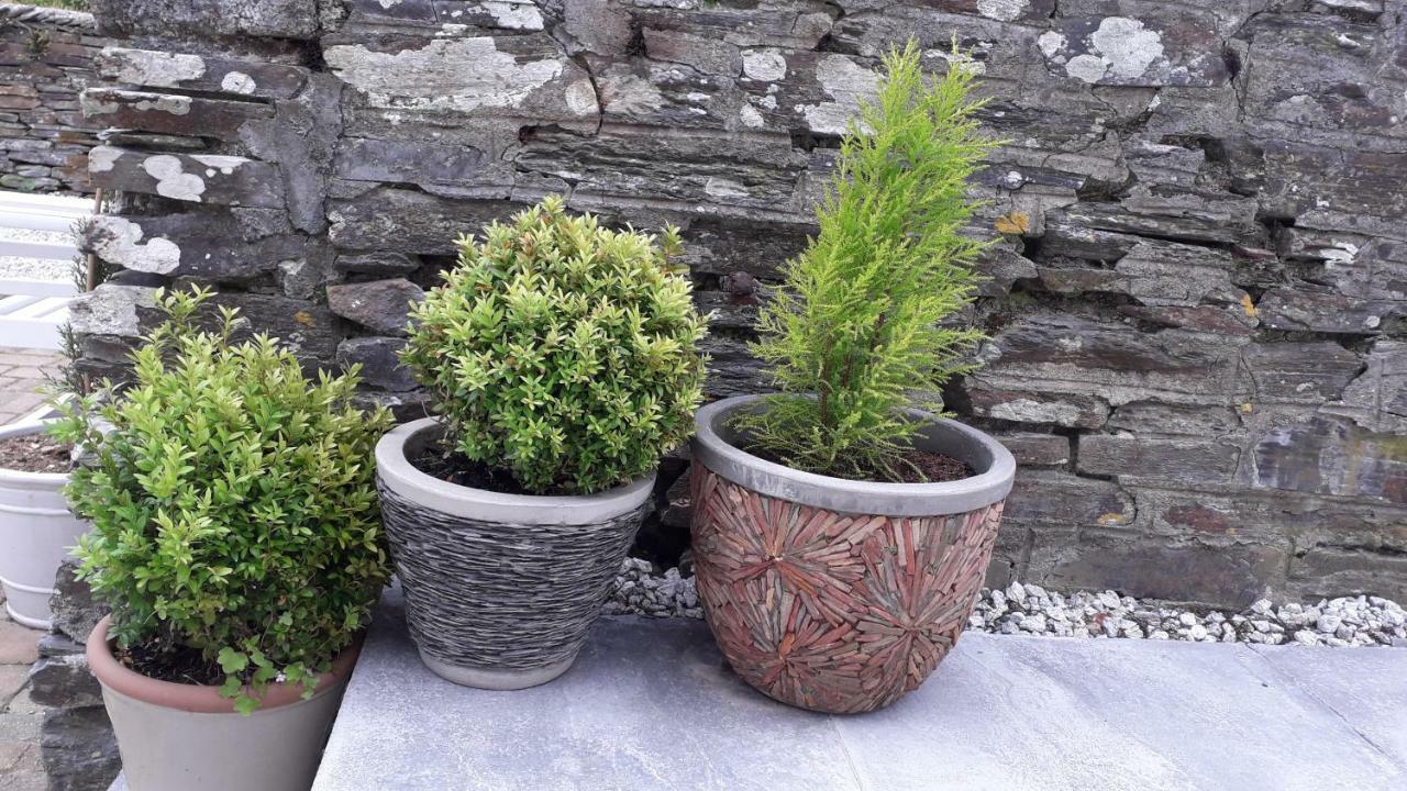 Melorne Farm Bed and Breakfast Camelford Exteriör bild